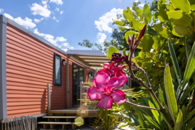Cottage PAPAYE - 33m² - Half-covered terrace - 3 bedrooms — 3