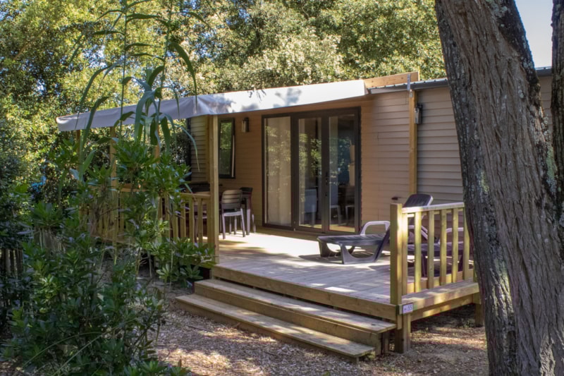 Cottage PREMIUM "TERRE et FORET" - 35m² - Half-covered terrace - 3 bedrooms - New 2024