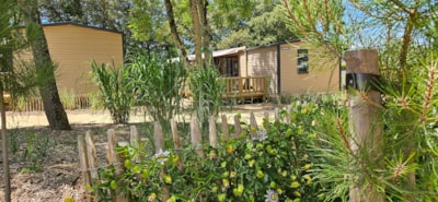 Cottage PREMIUM "TERRE et FORET" - 35m² - Half-covered terrace - 3 bedrooms - New 2024 — 3