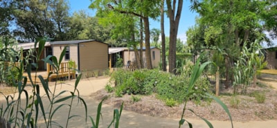 Cottage PREMIUM "TERRE et FORET" - 35m² - Half-covered terrace - 3 bedrooms - New 2024 — 4