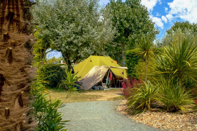 FORFAIT CONFORT (Emplacement tente, caravane ou camping-car + 1 voiture + Electricité 10 A)