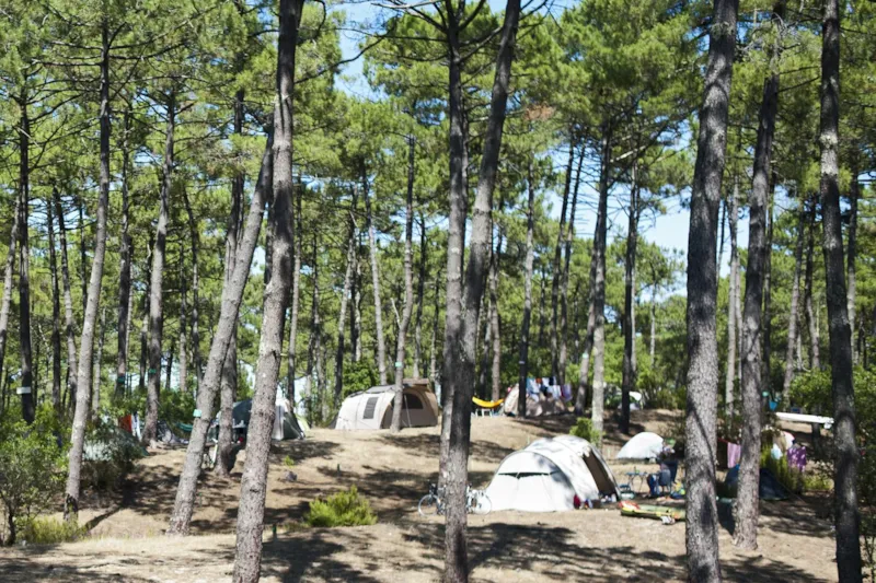 Emplacement Camping Confort