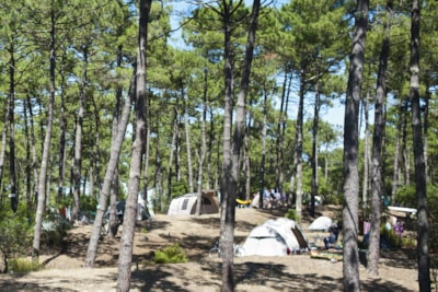 Comfort Camping pitch