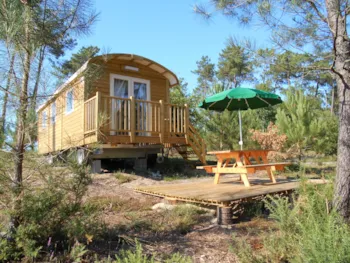 Accommodation - Roulotte - Huttopia Landes Sud