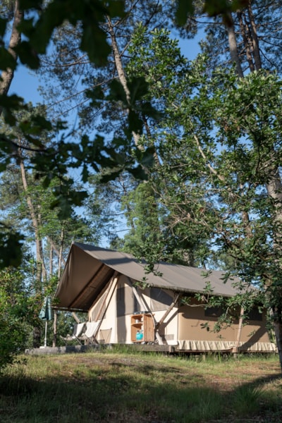 Trappeur tent