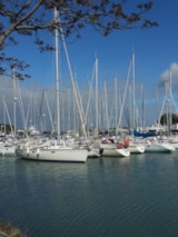 Foto #23 van Camping les Floralies