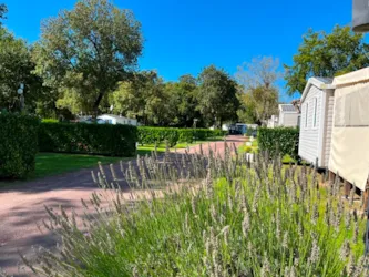 Camping les Floralies - image n°2 - Camping Direct