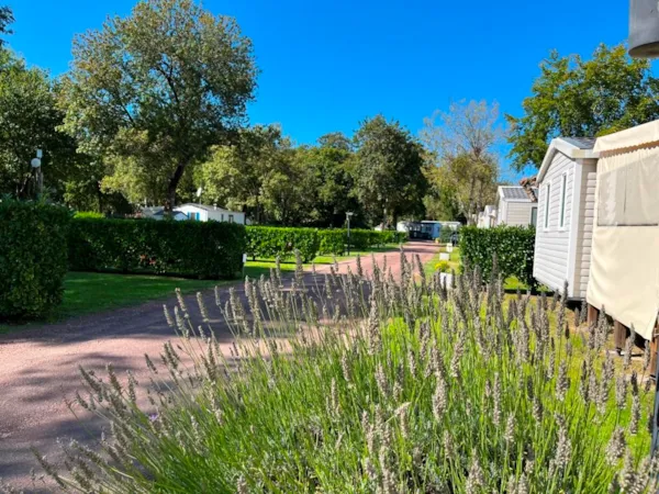 Camping les Floralies