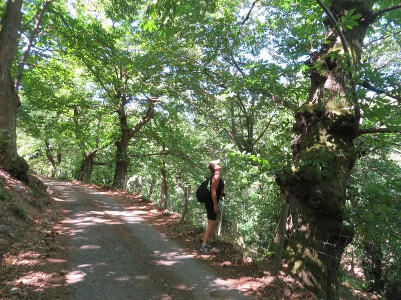Camping municipal le Pré Coulet - image n°17 - Ardeche