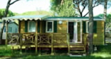 Casa Mobile Sunshine Top Presta 27M² (2 Camere) Casa Mobile Sunshine Top Presta 27M² (2 Camere)