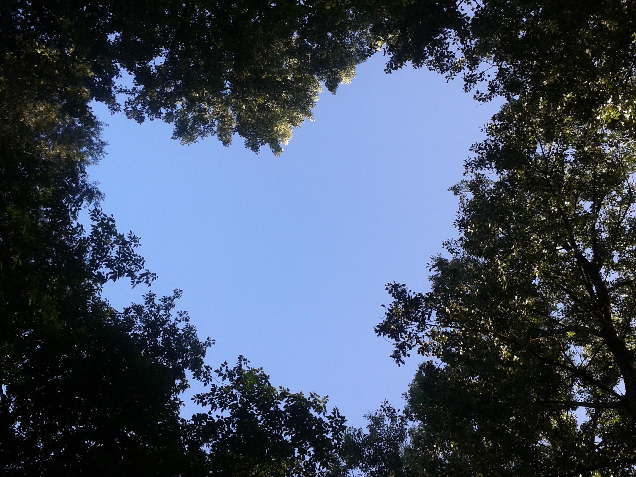 Camping de l'Ile — Photo 4