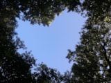 Foto #4 van Camping de l’Ile