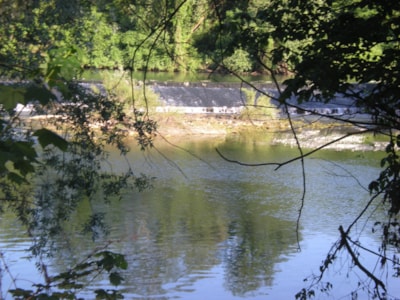Camping de l'Ile