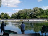 Foto #16 van Camping de l’Ile