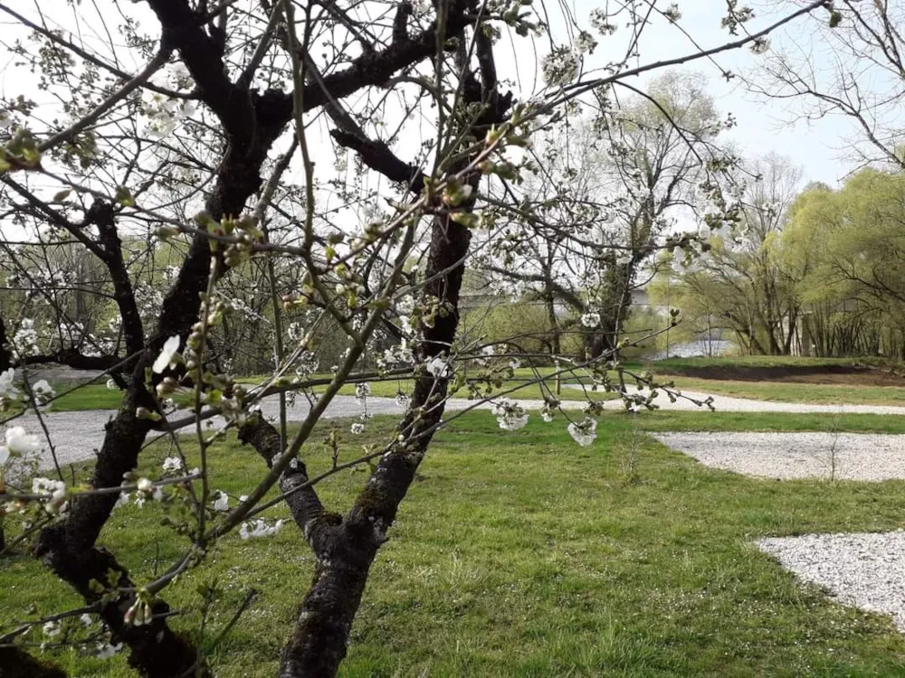 Pitch - Double-Axle Caravan Pitch 1 Pers - Camping de l'Ile