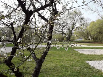 Stellplatz - Double-Axle Caravan Pitch 1 Pers - Camping de l'Ile