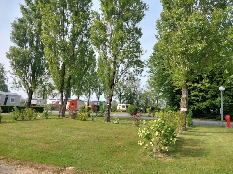 Forfait Confort (1 Tente/Caravane Ou Camping-Car/1 Voiture/Électricité 10A)