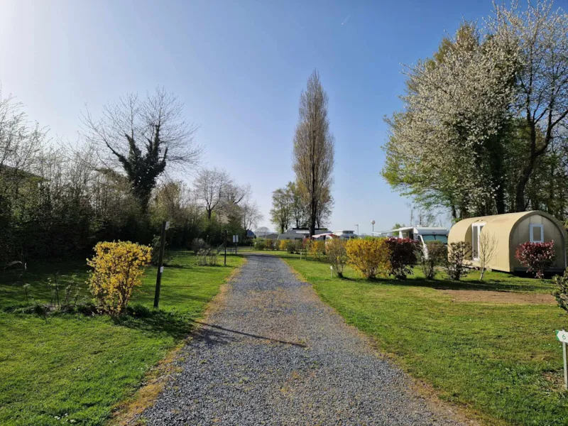 Forfait Confort (1 Tente/Caravane Ou Camping-Car/1 Voiture/Électricité 10A)