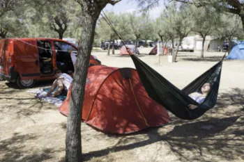 Pitch - Pitch With Electricity - Camping Paradis Barberousse