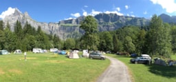 Camping Le Pelly - image n°4 - Roulottes