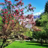 Foto #7 van Camping Le Pelly