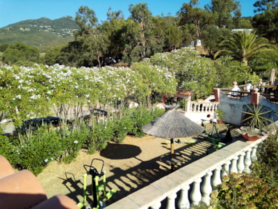 Camping Tikiti