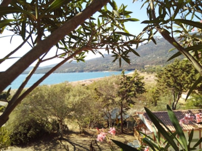 Camping Tikiti