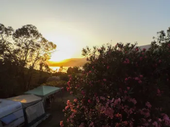 Pitch - Pitch - Camping Tikiti
