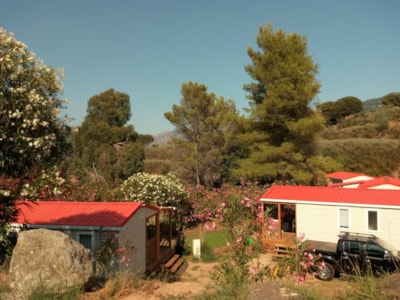 Mobil-home IRM 24.5m² / 2 rooms on Sunday