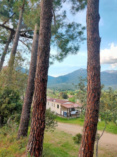 2-Bedroom Mobile Home Saturday / Flexible Stay