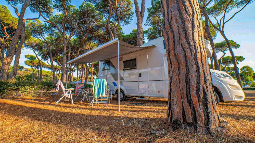 Pitch - Pitch Premium - Baia Holiday Roma Capitol