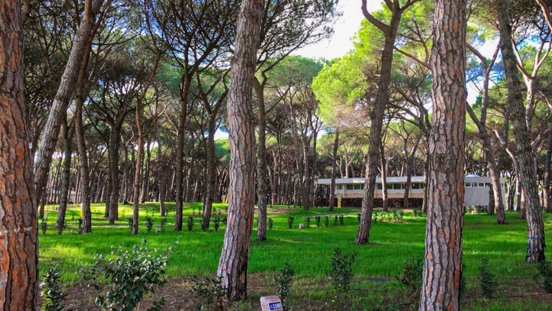 Piazzola Pineta Platz