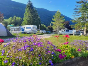 Emplacement - Emplacements Nu - Camping Le Valserine