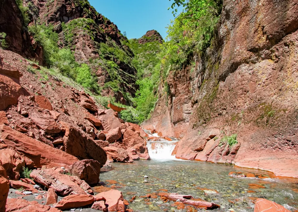 CAMPING LOU GOURDAN - image n°19 - UniversalBooking