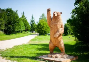 Domaine de l'Ours - Ucamping