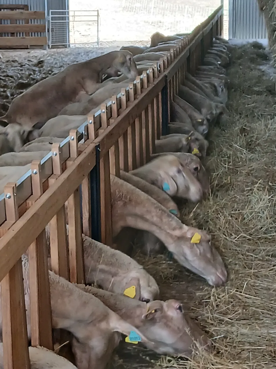 Camping L'Echappée Verte