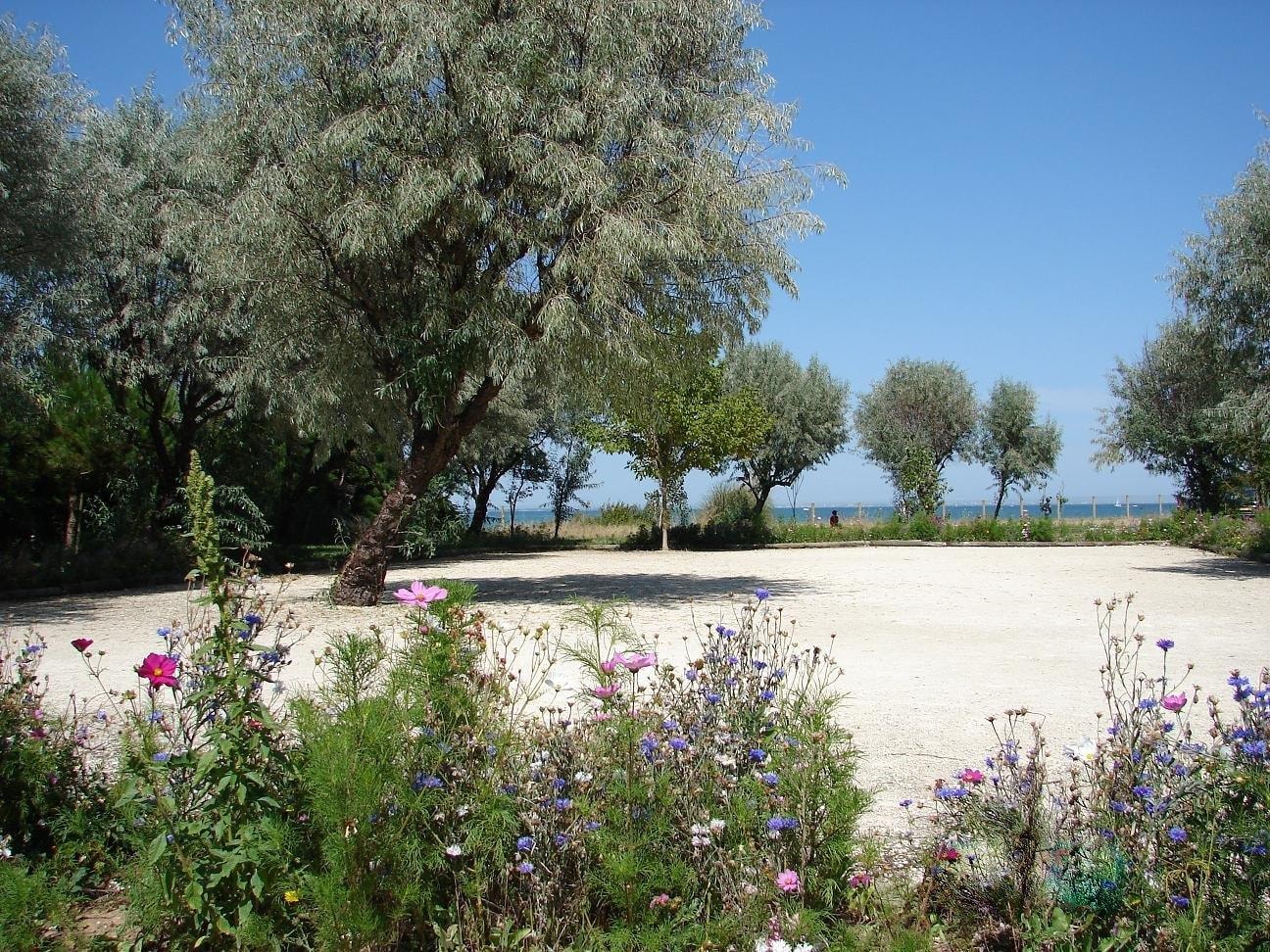 Camping Phare Ouest — Photo 5