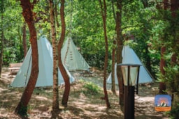 Camping Des Randonneurs - image n°7 - UniversalBooking