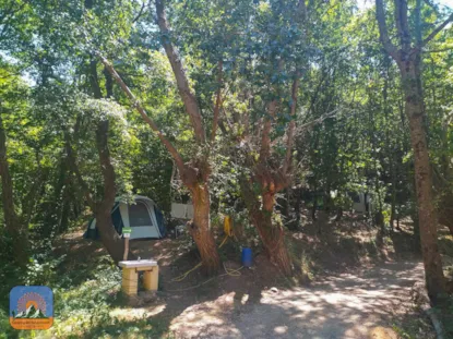 Pacchetto Piazzola 1 Tenda (7X3m Max.) (Prezzo Basato Su 2 Persone) Con Elettricità.