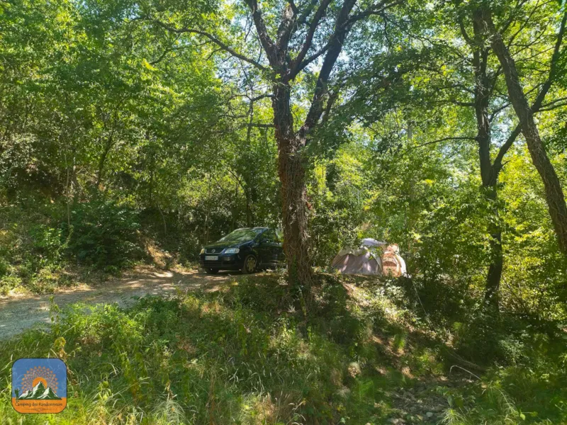 Xl Forfait Emplacement + 1 Véhicule  + 1 Tente (Max. 7X3m ) + Électricité (Tarif Base 2 Pers.)