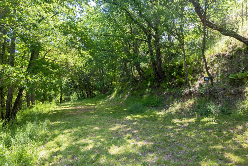 Emplacement - Forfait Emplacement 1 Tente (7X3m Max.) (Prix Basé Sur 2 Personnes) Pas D'électricité Ni De Véhicule - Camping Des Randonneurs