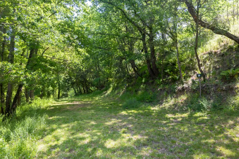 Forfait Emplacement 1 Tente (7X3m Max.) (Prix Basé Sur 2 Personnes) Pas D'électricité Ni De Véhicule