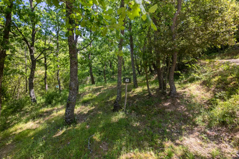 Forfait Emplacement 1 Tente (7X3m Max.) (Prix Basé Sur 2 Personnes) Pas D'électricité Ni De Véhicule