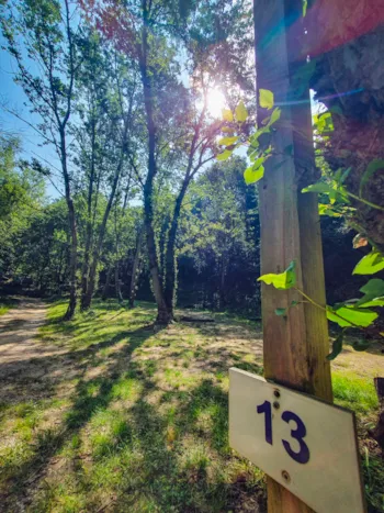 Emplacement - Forfait Emplacement 1 Tente (7X3m Max.) (Prix Basé Sur 2 Pers.) Avec Électricité. Pas De Véhicule - Camping Des Randonneurs