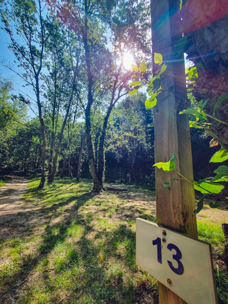 Package pitch 1 tent  (7x3m max.)  (price based on 2 persons) With electricity. No vehicle on pitch