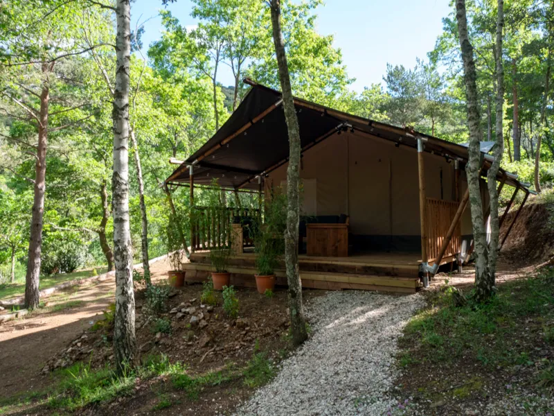 Safari Lodge