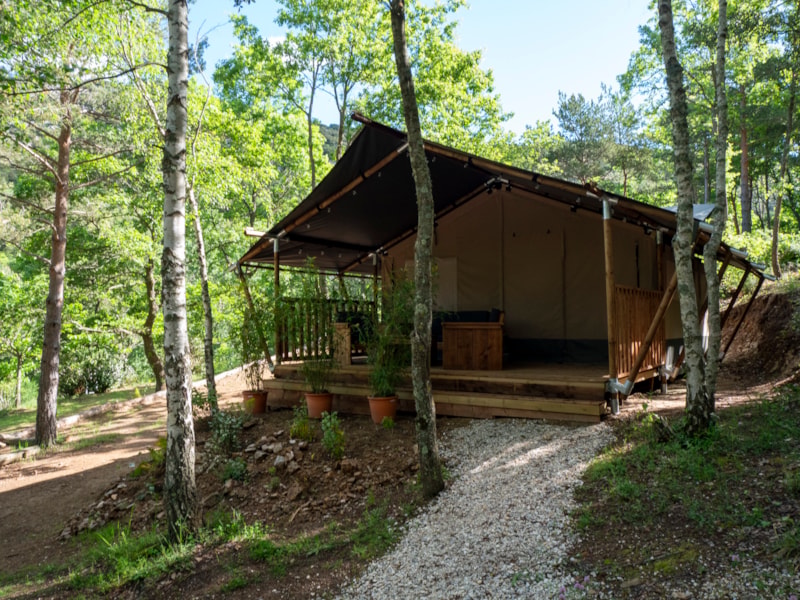Safari Lodge