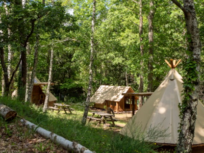 Modern Tipi — 5