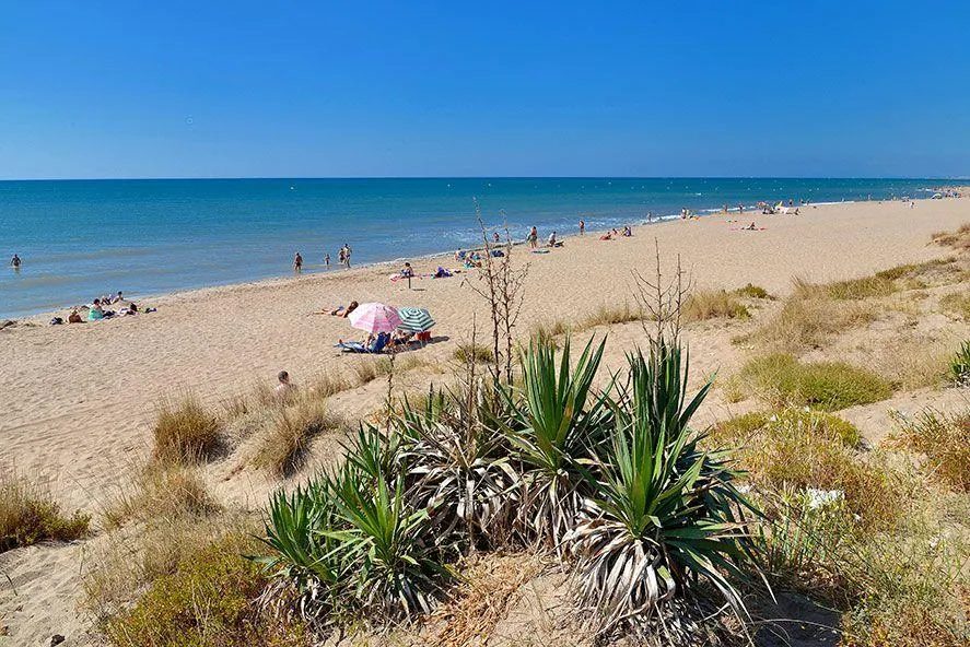 Camping Domaine Sainte Veziane