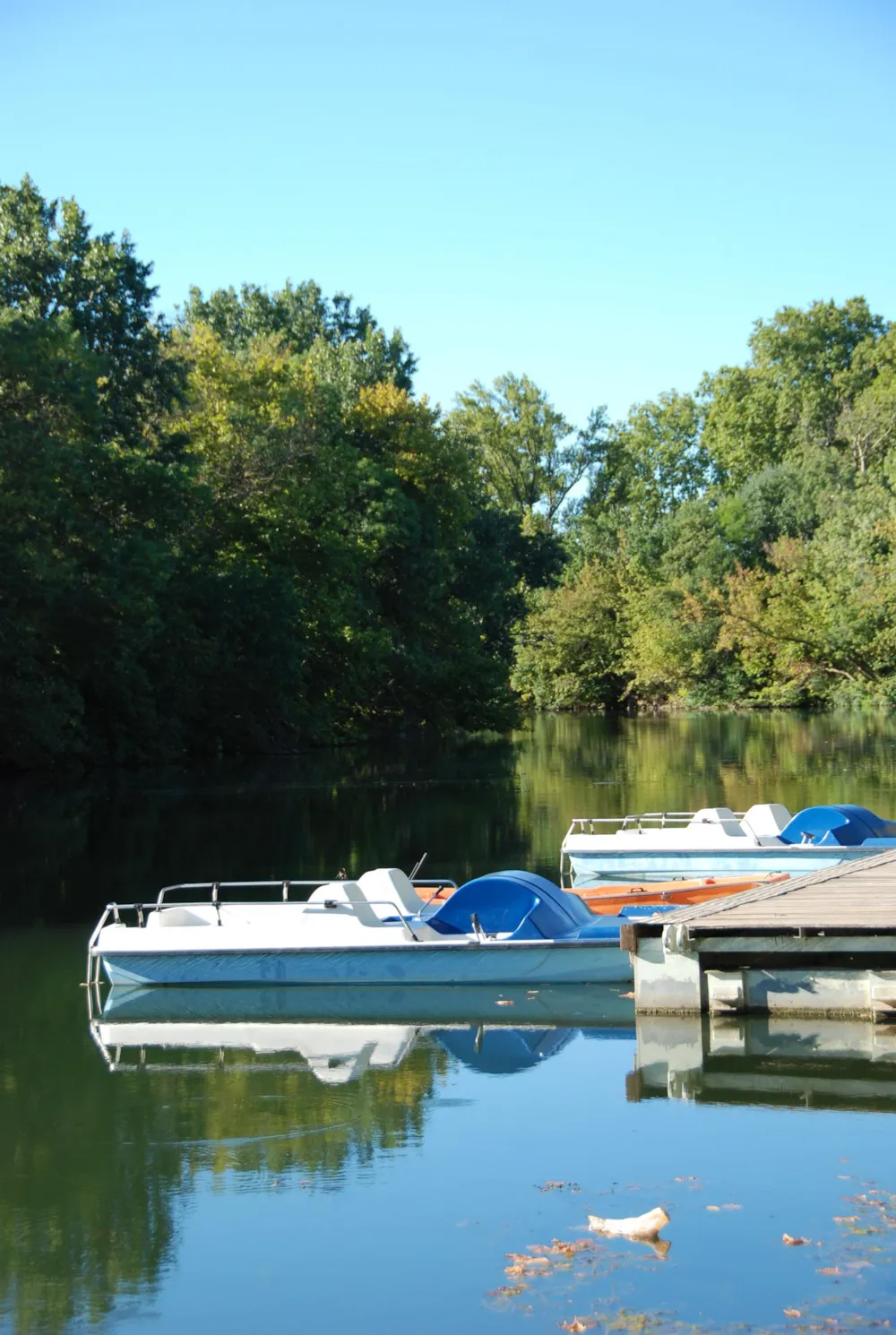 Camping Domaine Sainte Veziane